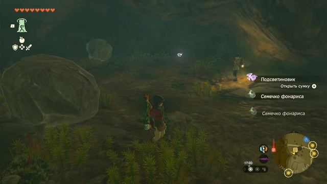 The Legend Of Zelda: TotK. Серия 037
