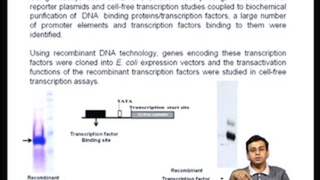 Mod-01 Lec-04 Proximal & Distal Promoter Elements,Enhancers And Silencers, Gene-specific Regulators