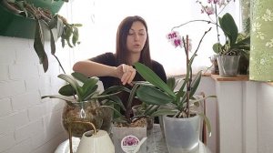 КОРНИ ПУЧКОМ цветоносы ПОЛЕЗЛИ, а Я СКРЫВАЮ и Не Показываю