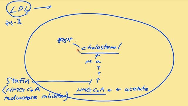 statin(스타틴, HMG CoA reductase inhibitor) mechanism(기전) 이해 смотреть онлайн