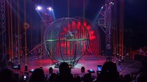 Цирк Демидовых в Самаре