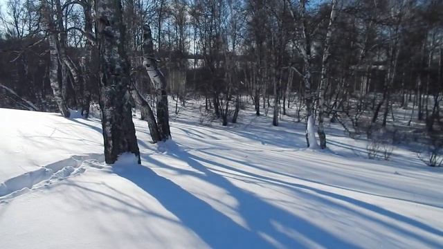Прогулка до намеченного места не состоялась смотреть онлайн