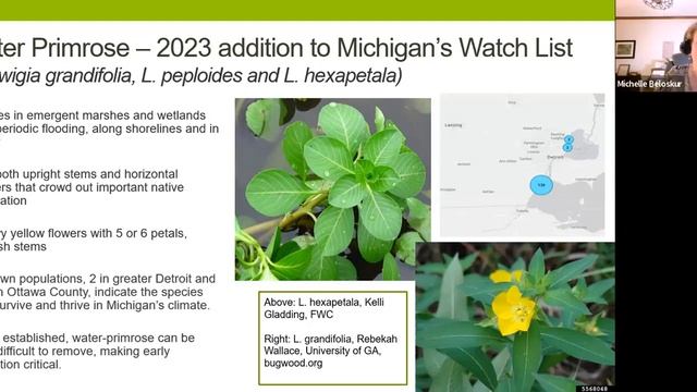 Invasive Species and what to watch out for! смотреть онлайн