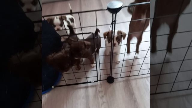 20240502_180753.mp4