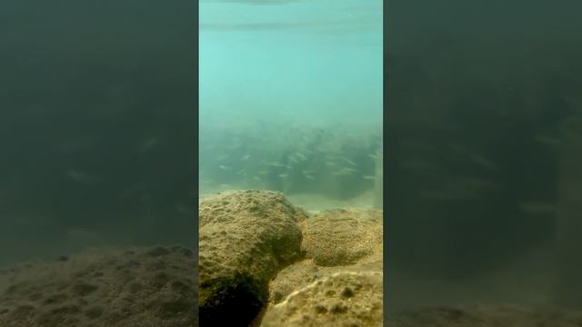 Тест пыли и влагозащиты iPhone 15 Pro Max в соленой воде Алании смотреть онлайн