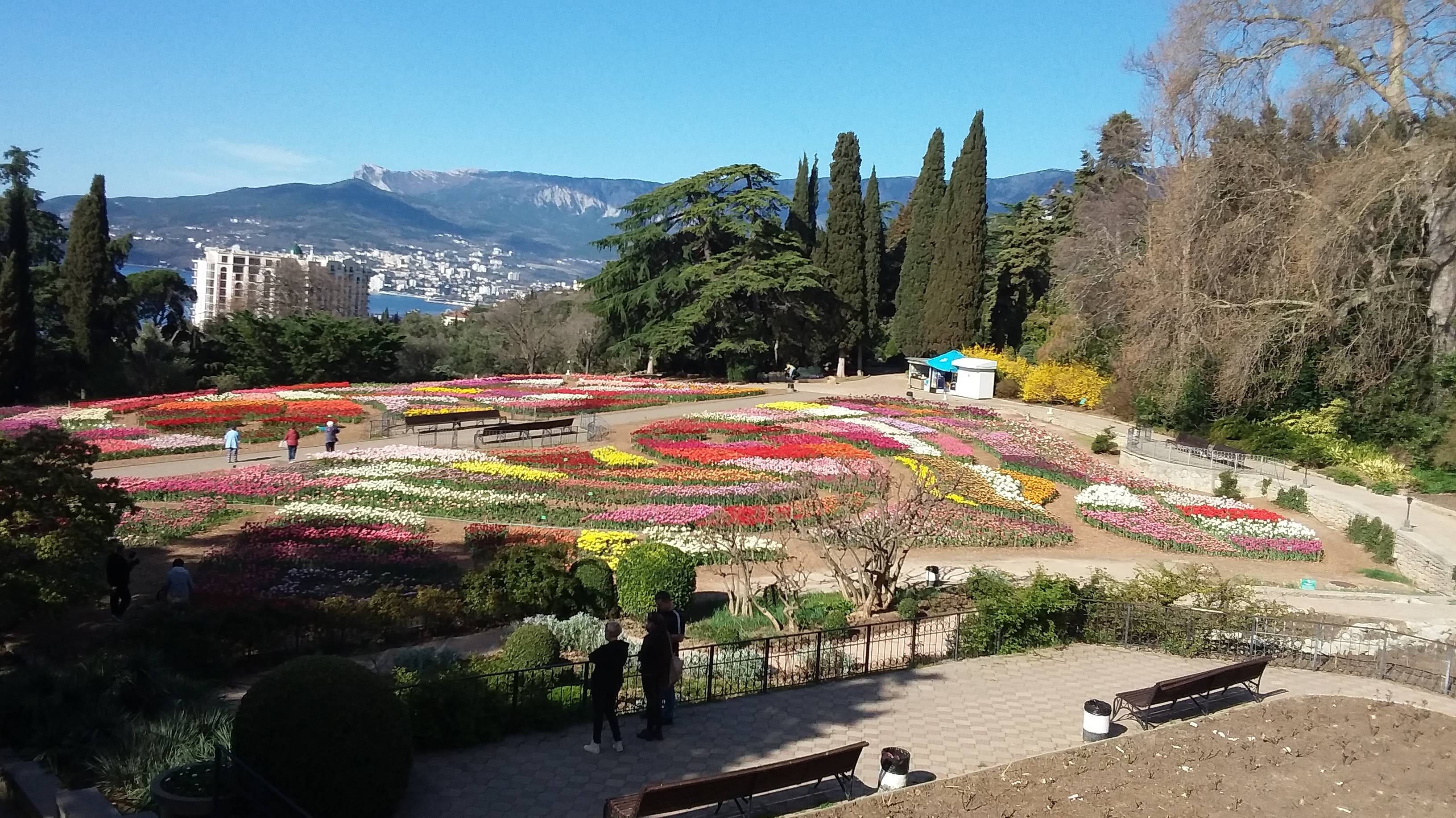 парад тюльпанов 2024.movie смотреть онлайн