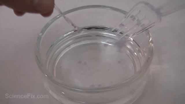 Alginate Polymer смотреть онлайн