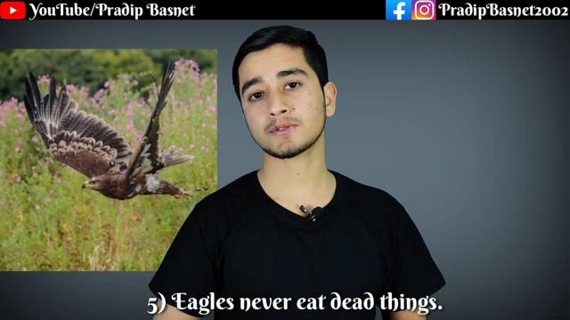 Be Like An Eagle | चिलजस्तो बन । By Pradip Basnet смотреть онлайн