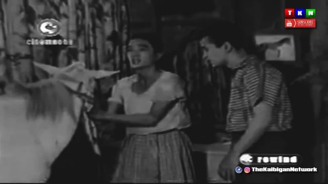 #Gigolo #Alexander #Dolphy #Comedy #Tagalog Remastered Movie