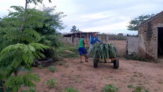 EU RESENHANDO MAIS CAGA SELA NO SITIO DE DINHA UNIVERSO смотреть онлайн