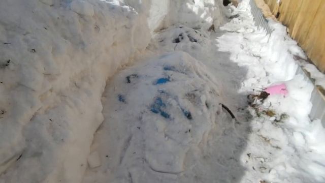 Весенние работы начались, посадка и очистка от снега роз смотреть онлайн