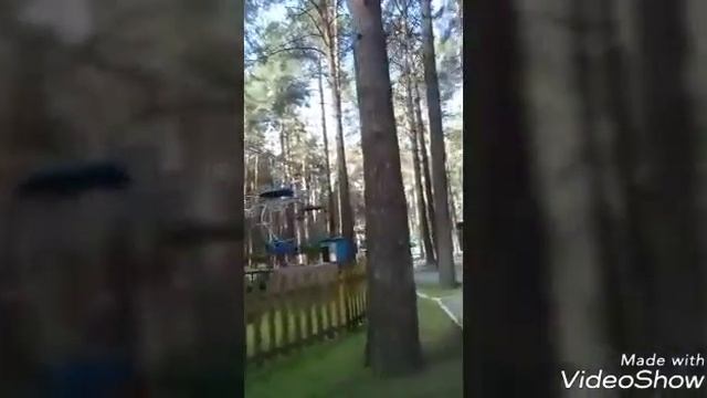 Влог идем в сосновый бор !!☺😊 смотреть онлайн