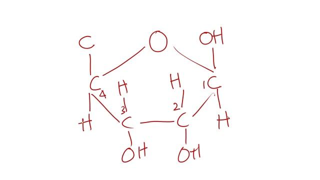 DNA - STRUCTURE AND REPLICATION PART-II смотреть онлайн