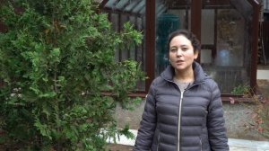 Резеда Зиганшина рассказывает о своей тепличке