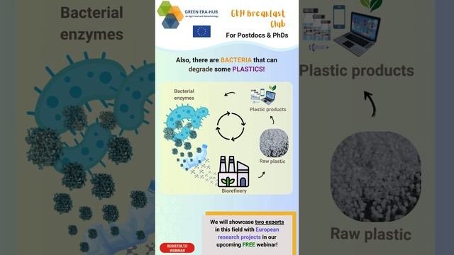 👩🔬 🔬Biotechnology to advance Sustainable Solutions for Bioeconomy #bioplastics #sustainability смотреть онлайн