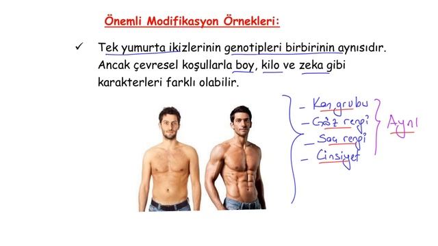 KALITIM-1, GAMET ÇEŞİDİ HESAPLAMA TYT 2020 смотреть онлайн