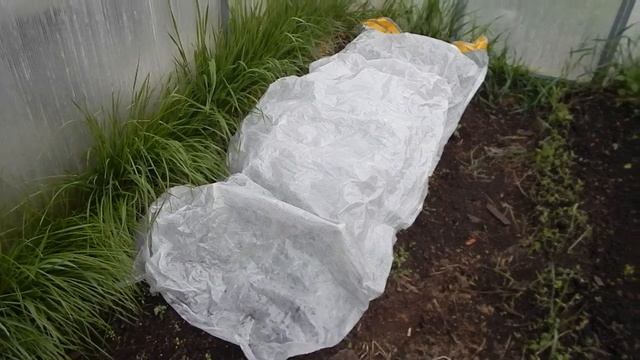 Снежок мимо прошел смотреть онлайн