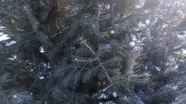 Родительская щедрость. Странное отношение родителей к младшей дочери... смотреть онлайн