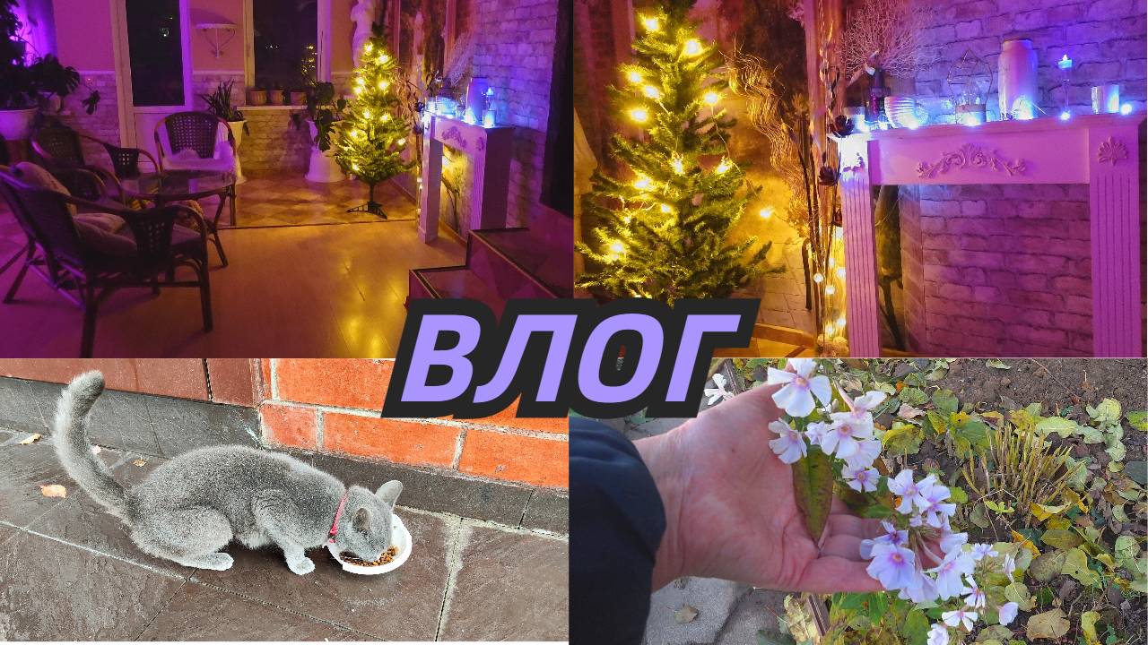 Влог/Достала елку.Захотелось поднять настроение/Новая кошка/ Сад в конце ноября @SubTatiana смотреть онлайн