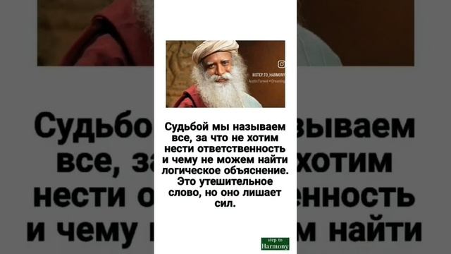 #судьба #цитаты #садхгуру смотреть онлайн