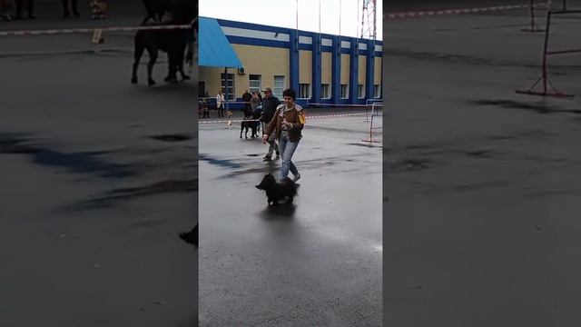 Монка смотреть онлайн