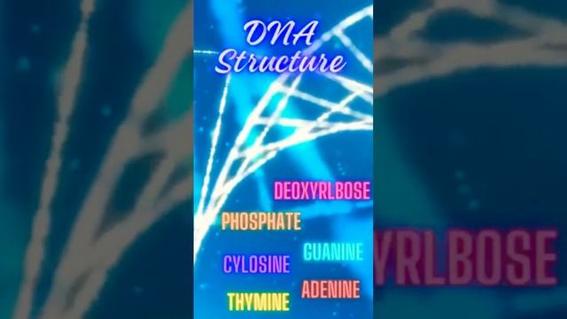 DNA Structure | Unraveling the Secrets of DNA | what is DNA смотреть онлайн