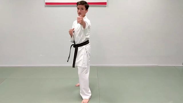 Faust's USA Karate Sparring Combinations 10, 11, and 12 смотреть онлайн