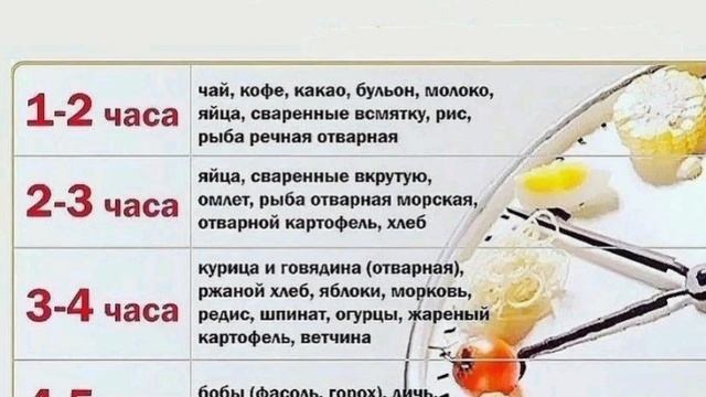 Время переваривания пищи в желудке👆 смотреть онлайн