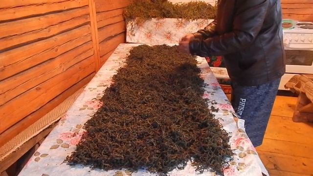 Река русло выправило маленько, Иван - чай сушим смотреть онлайн