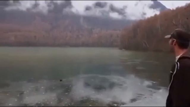 Best Coub Compilation Подборка Кубов #001 смотреть онлайн