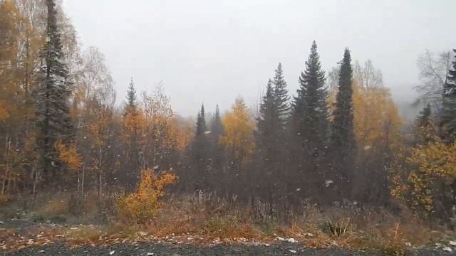 Первый снег на Урале - 10.10. 2023 смотреть онлайн