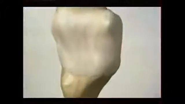 омега3 Елена Малышева смотреть онлайн