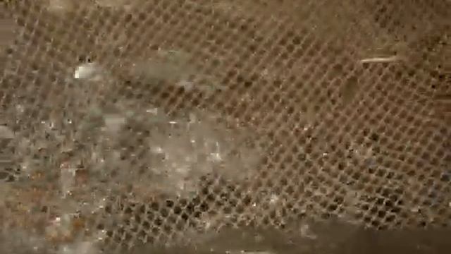 Жері байдың , елі бай Асыл арна смотреть онлайн