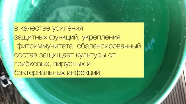 КАК УВЕЛИЧИТЬ ПЕРИОД ПЛОДОНОШЕНИЯ И ЦВЕТЕНИЯ смотреть онлайн