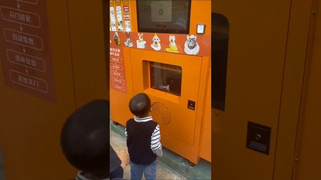 душевая для собак смотреть онлайн