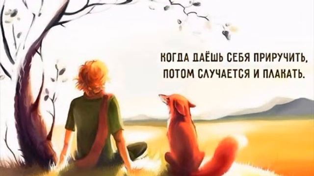 Маленький принц Лидановская Ия смотреть онлайн