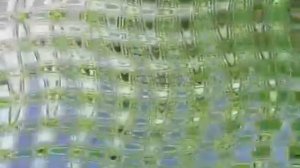 KlaskyKlaskyKlaskyKlasky Gummy Bear Song Version Is Super Duper High Pitched Pitch -24