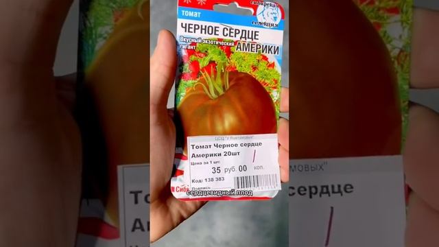 Чёрные томаты самые полезные #томаты #помидоры #огород #сад смотреть онлайн
