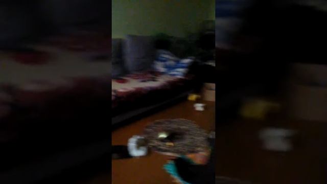 23 мая 2019 г. смотреть онлайн