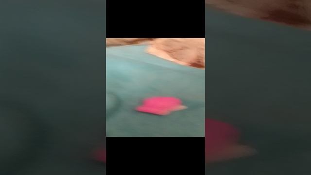 расследование будем изучать смотреть онлайн