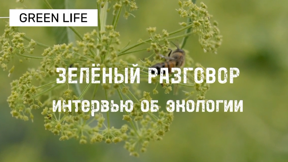 Экология в современном мире: соцопрос