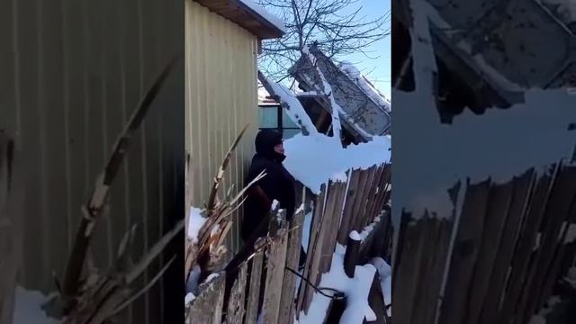 Осторожно злая собабка 😉✌️😂 смотреть онлайн