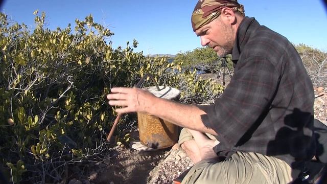 Survivorman | Masterclass | Salt Water Still смотреть онлайн