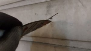 Устанавливайте защитный щиток на болгарку !