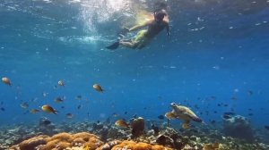 RAAYA by Atmosphere, Мальдивы - промо видео отеля