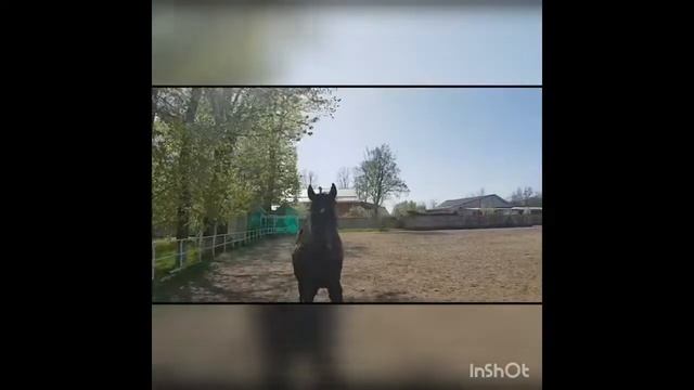 Я так живу... Елена Ионова... смотреть онлайн