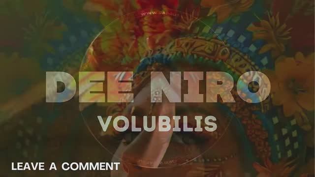 AFRO HOUSE & MELODIC HOUSE - DEE NIRO VOLUBILIS - HUGEL, TOPIC, BOB SINCLAIR, RELIGHT ORCHESTRA