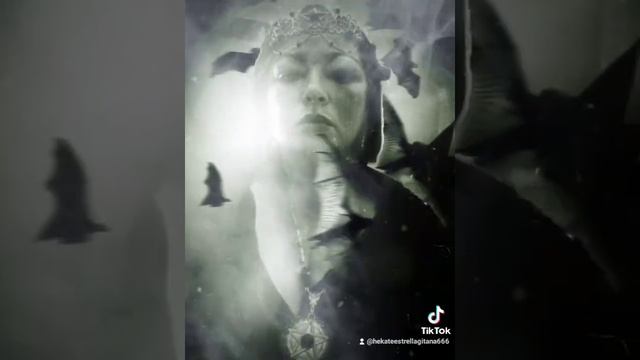 HEKATE ESTRELLA GITANA LA BRUJA ALFA 666 TAROT GITANO. смотреть онлайн