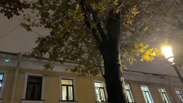 Питер. Прогулка без слов. Осеннее настроение. смотреть онлайн