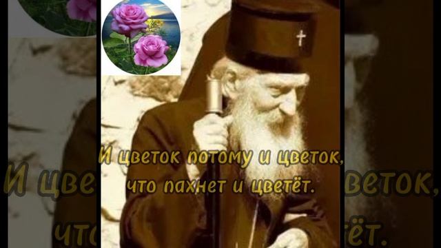 #добрые #мысли # патриарх #сербский #Павел смотреть онлайн